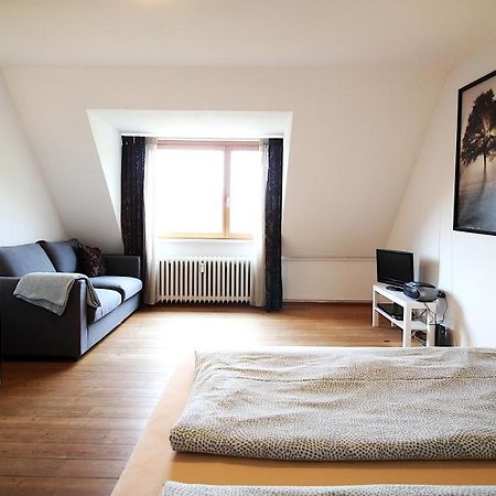 Zentrale Stadtwohnung - Direkt Am Main, Park-Ausblick Wurzburg Exterior photo