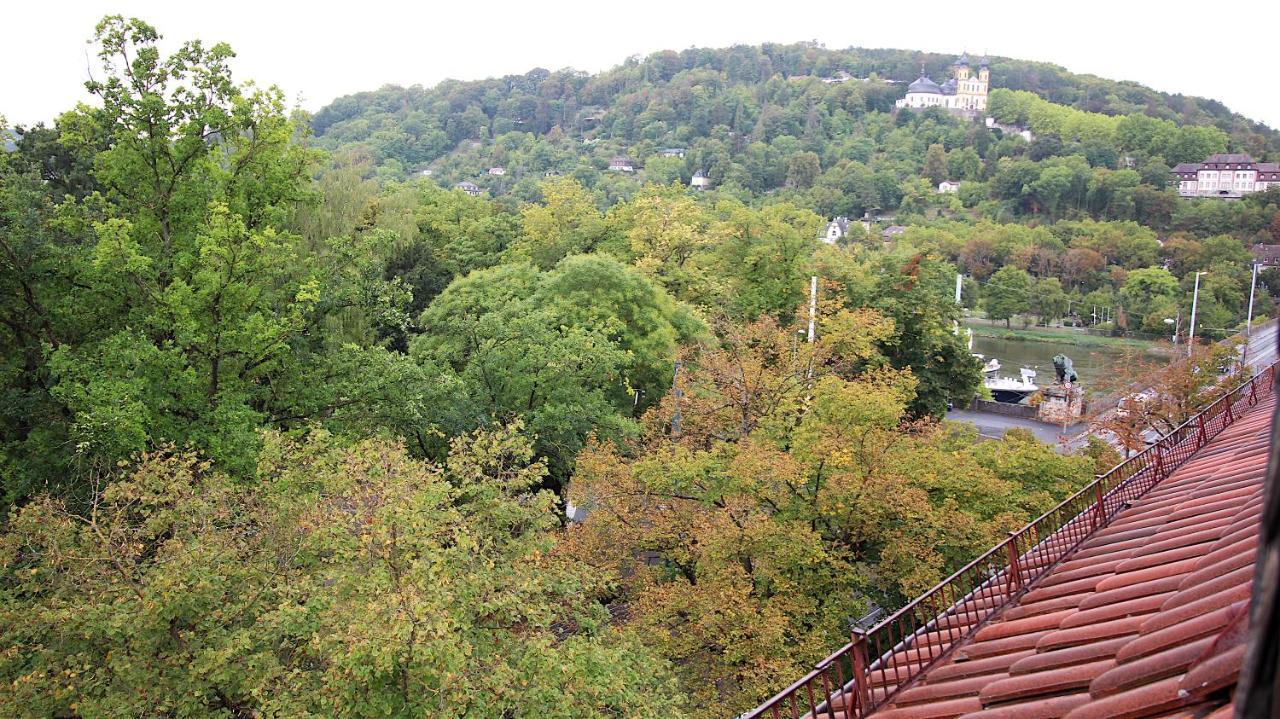 Zentrale Stadtwohnung - Direkt Am Main, Park-Ausblick Wurzburg Exterior photo